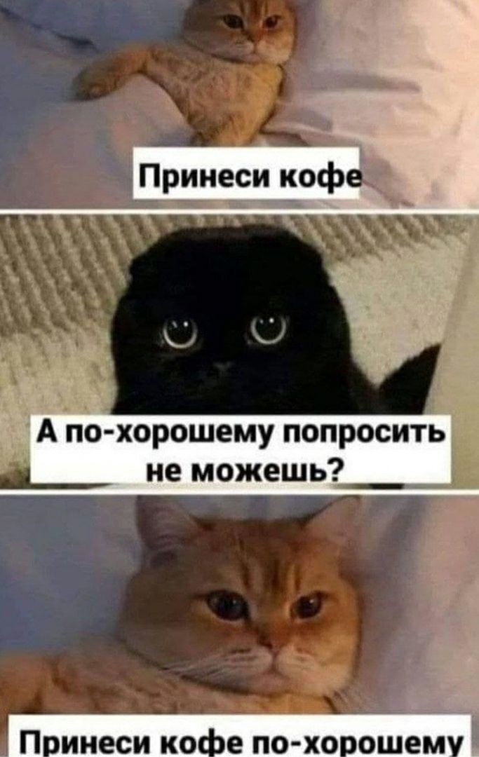 А по хорошему попросить не можешь П инеси КО е ПОХО ОШЕМ
