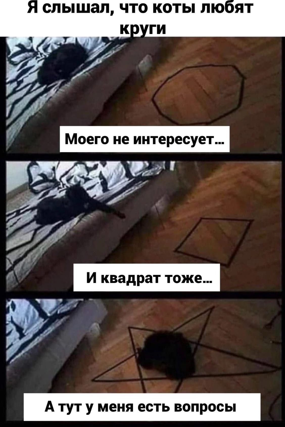 Я слышал ЧТО КОТЫ ЛЮ ЯТ _ А ТУТ У меня ЕСТЬ ВОПРОСЫ