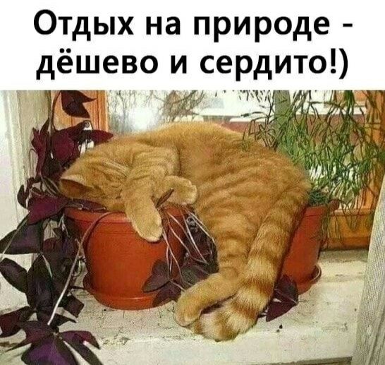 Отдых на природе дёщево и сердито