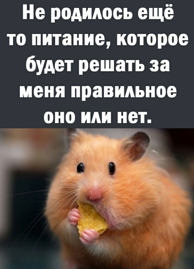 Не родилось ещё то питание которое будет решать за меня правильное оно или нет