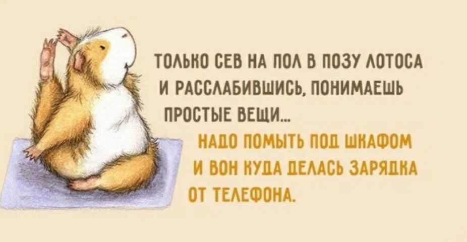 томно сев НА под в позу АотосА и рдссмвившись понимдвшь простые веши _ шо понять под ш иш шись зтш от ттт