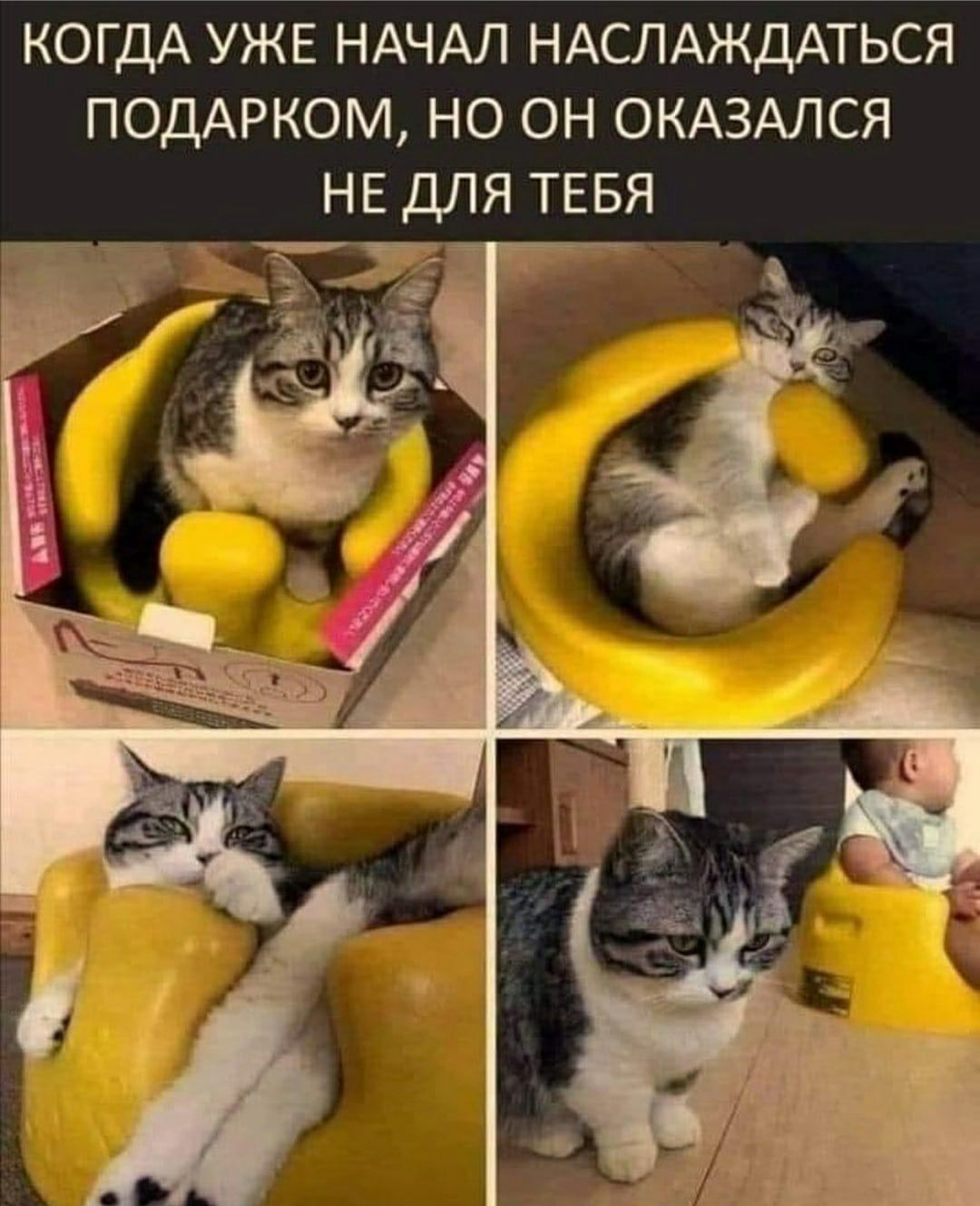 КОГДА УЖЕ НАЧАЛ НАСЛАЖДАТЬСЯ ПОДАРКОМ но он ОКАЗАЛСЯ