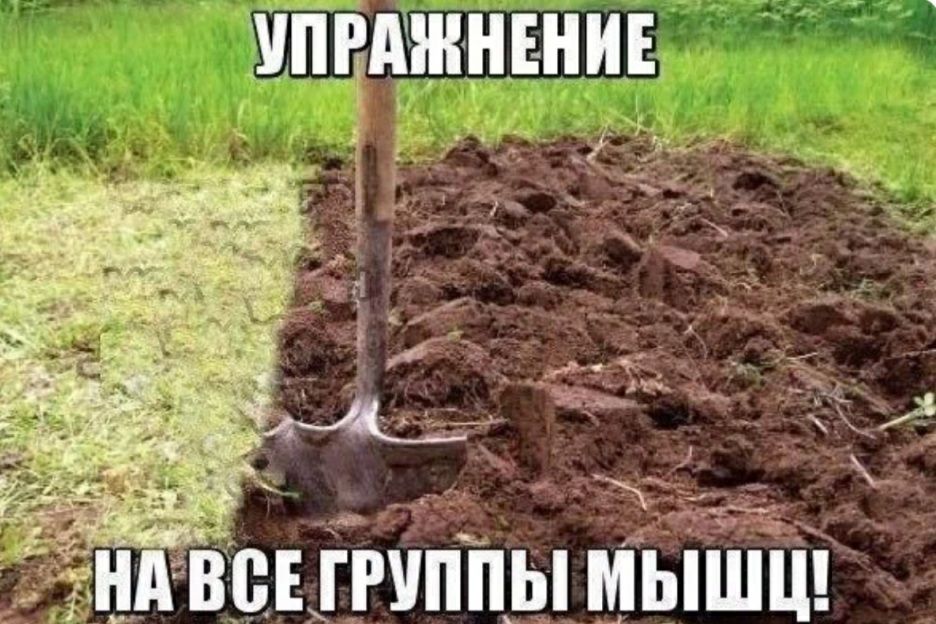 УПРАЖНЕНИЕ