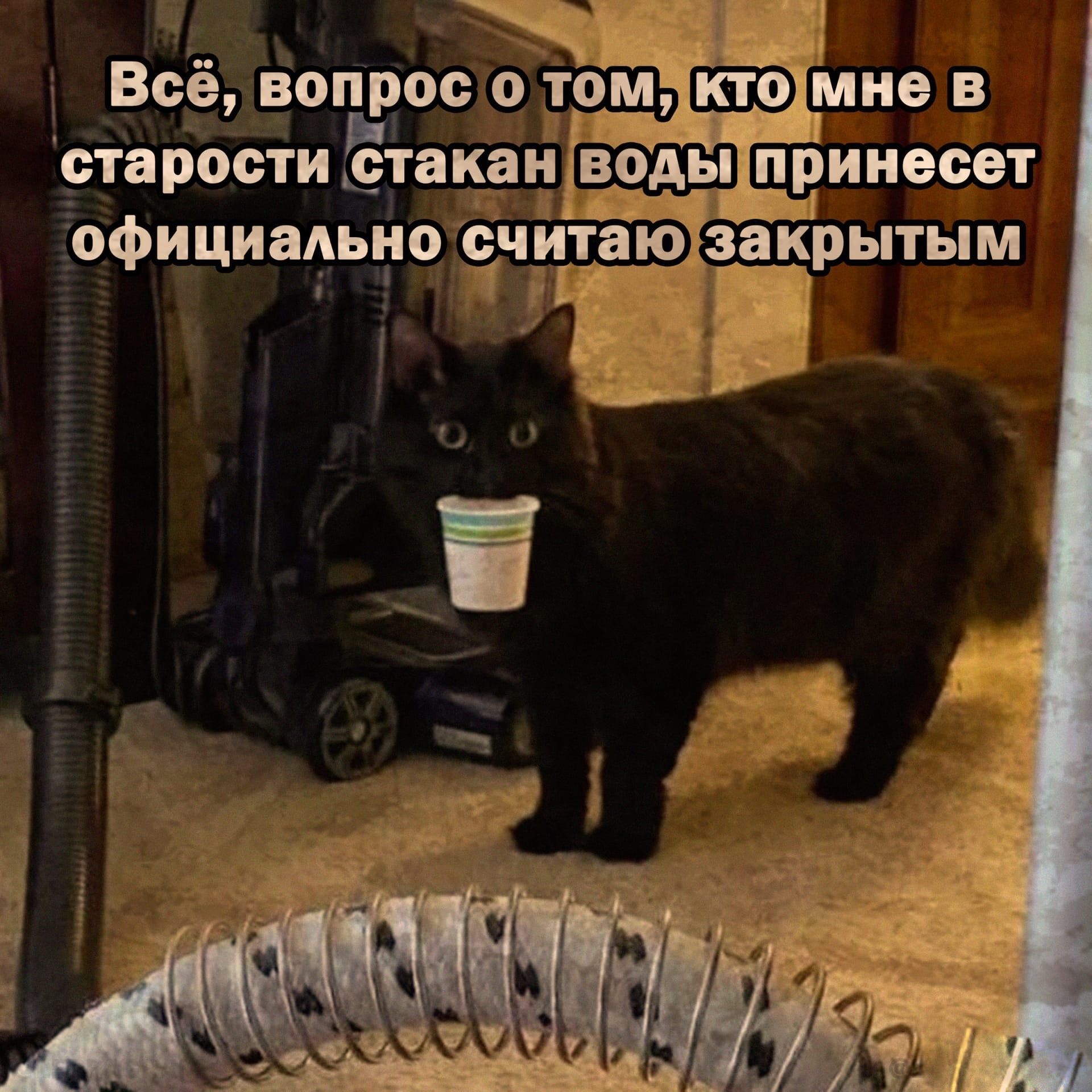 официадыю чига _ __ _ старости Ёта кан принесет ім въ