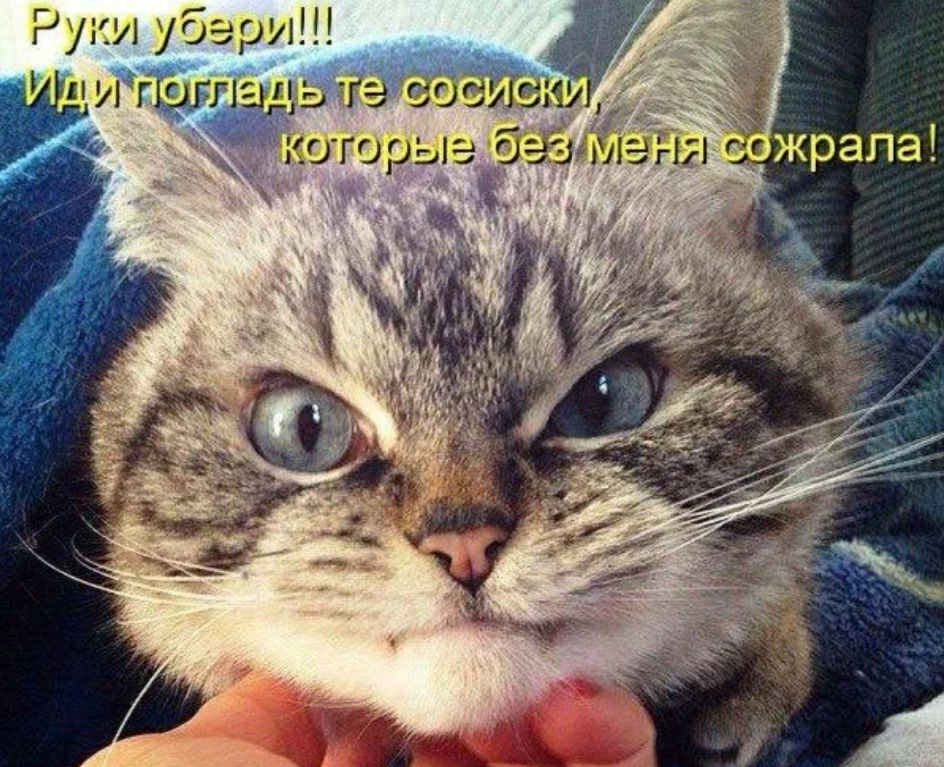 зёшдёж рапа