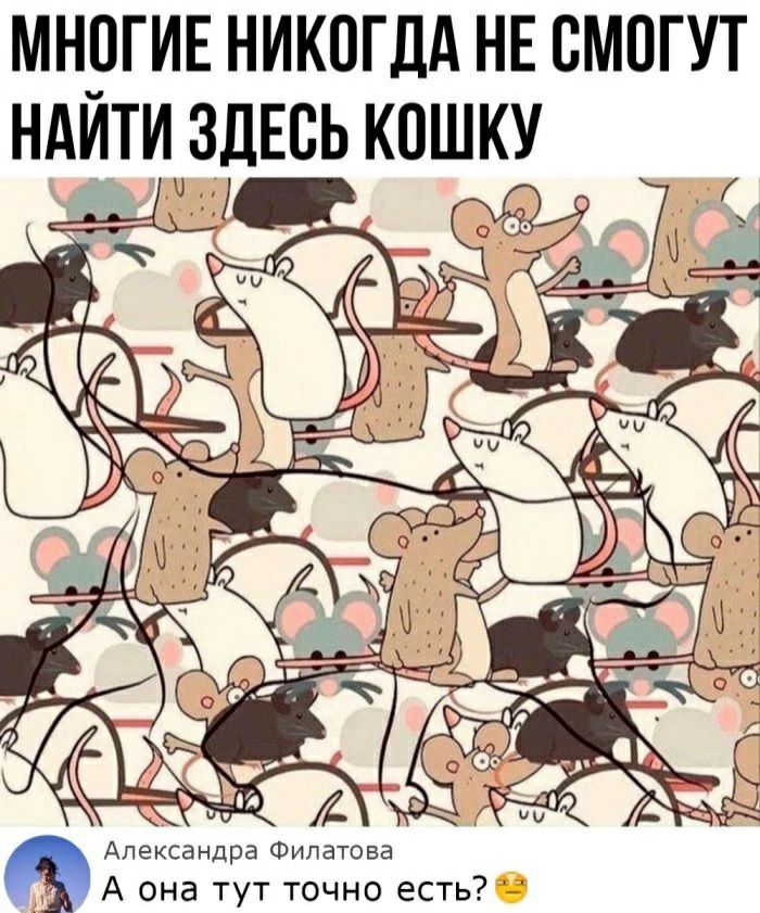 МНРГИЕ НИКОГДА НЕ СМОГУТ НАИТИ ЗДЕСЬ КОШКУ ь О 4 о __іл ь А ппппппп ра Ф ааааааа А ОНа ТУТ ТОЧНО ЕСТЬ