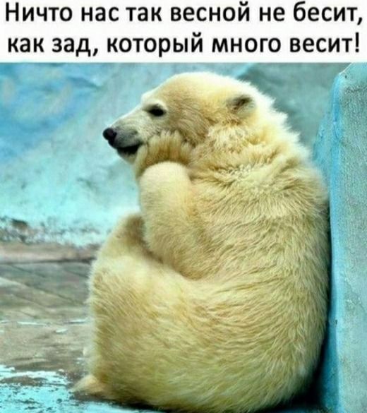 Ничто нас так весной не бесит как зад который много весит