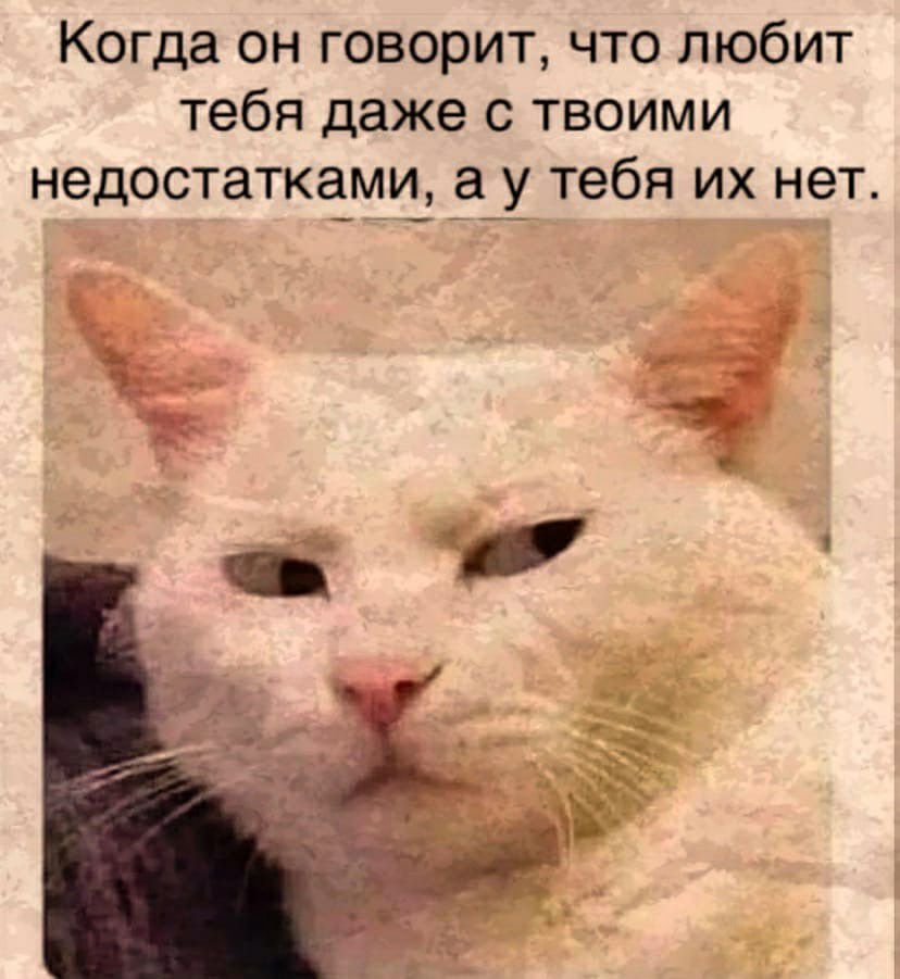 Когда он говорит что любит тебя даже с твоими недостатками а у тебя их нет