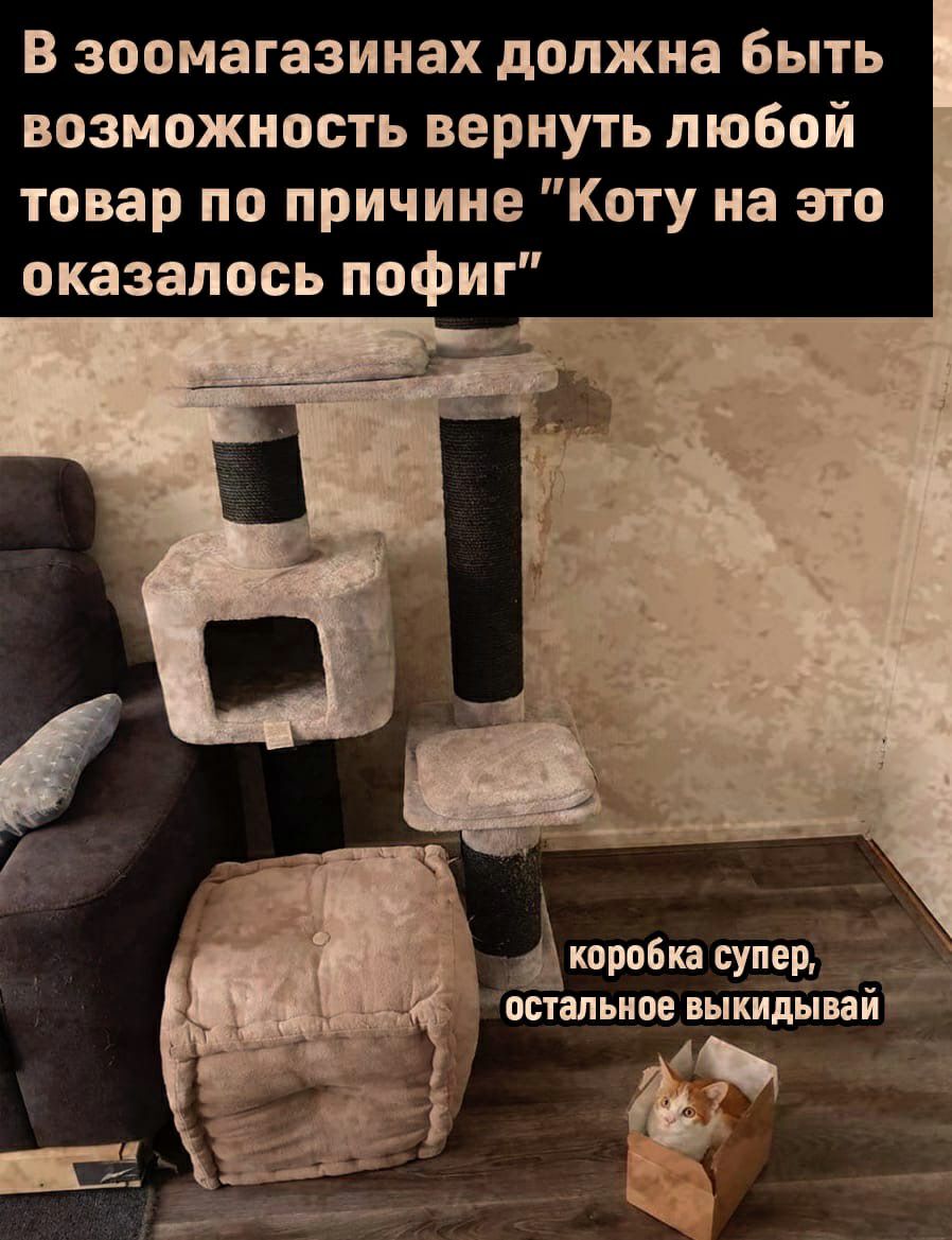 В зоомагазинах должна быть возможность вернуть любой товар по причине Коту на это оказалось пофиг Акоробка супер г 3 остальное выкидывай
