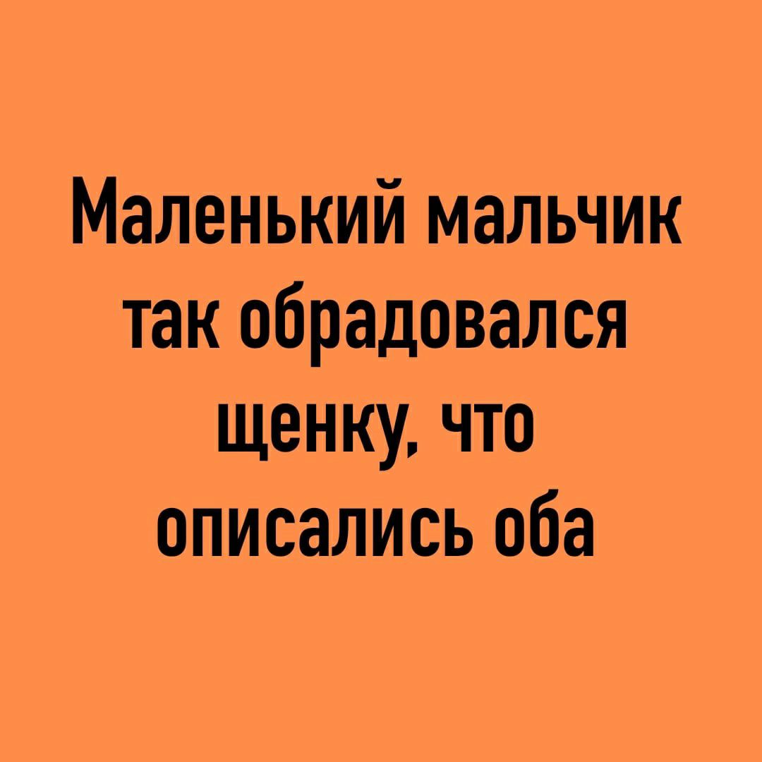 Маленький мальчик так обрадовался щенку что вписались оба