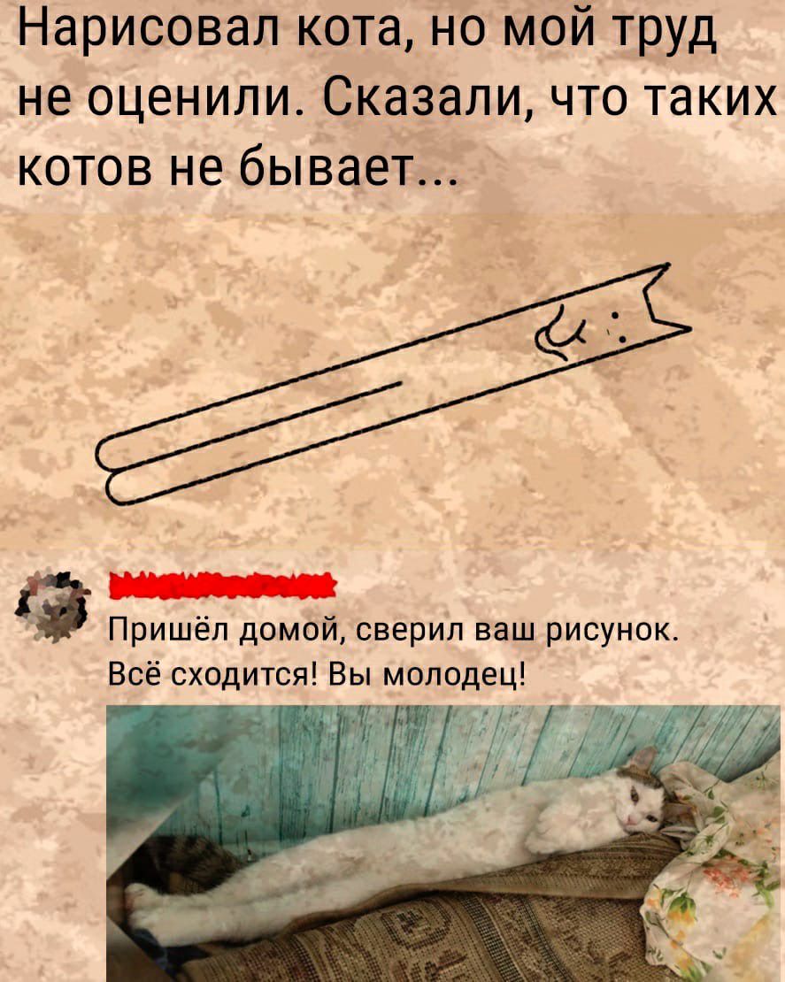 Нарисовал кота но мой труд не оценили Сказали что таких котов не бывает Пришёл домой сверил ваш рисунок Всё сходится Вы молодец