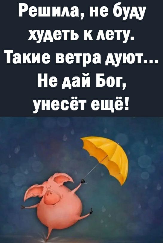Решила не буду худеть к лету Такие ветра дуют Не дай Бог унесёт ещё