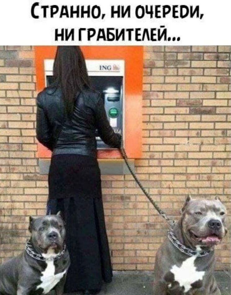 Стрднно ни очереди ни грдвитвдви 4