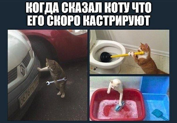 ШШШ СКАЗАЛ ШВП что ЕП ШШ НАВТРИРУШТ