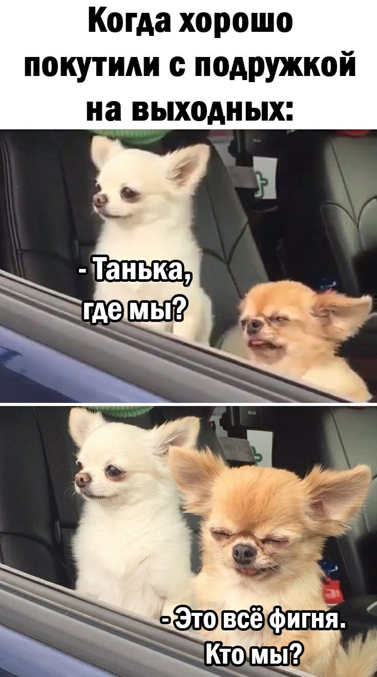 Когда хорошо покутиди подружкой на выходных