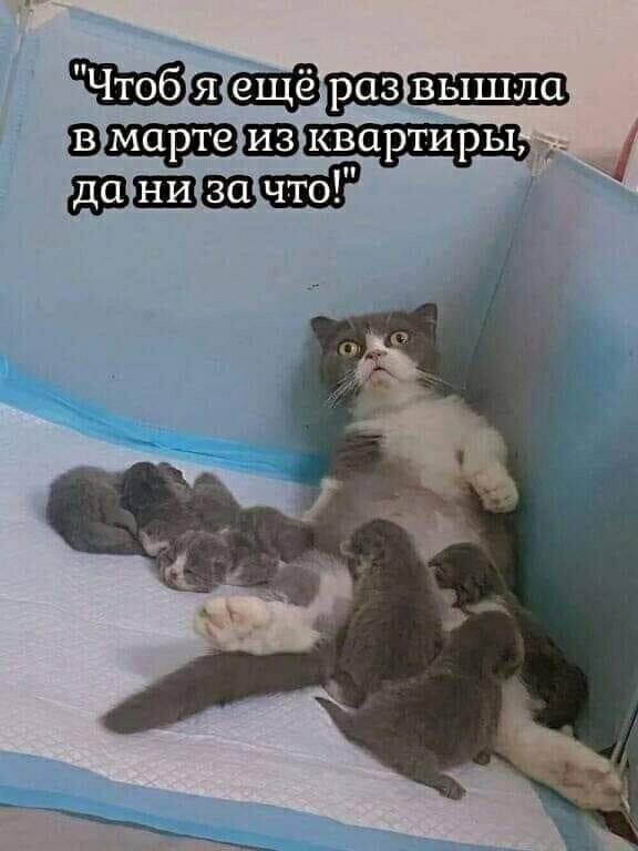 ш_