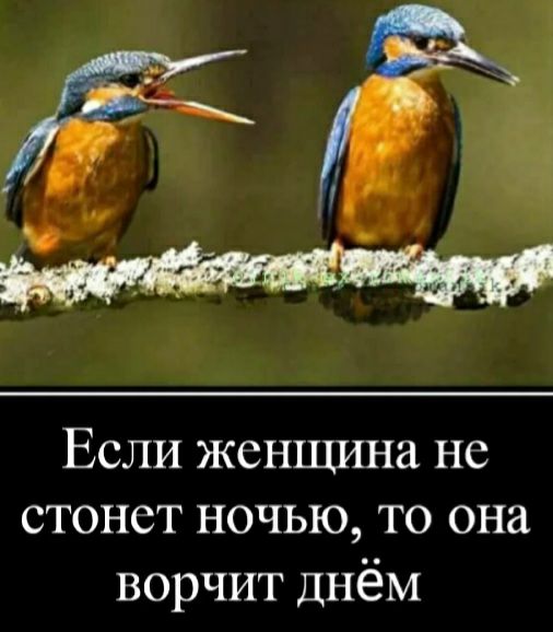 Малыш в роддоме: первые дни жизни - статьи от специалистов клиники «Мать и дитя»