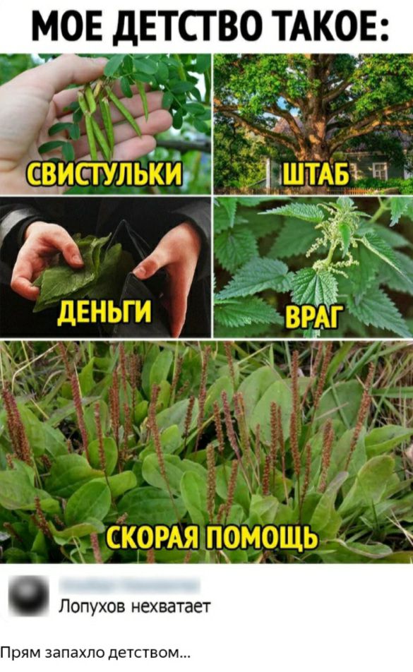 Лопухов нехватает Прям ЗЭПЭХПО ДЕТСТВОМ
