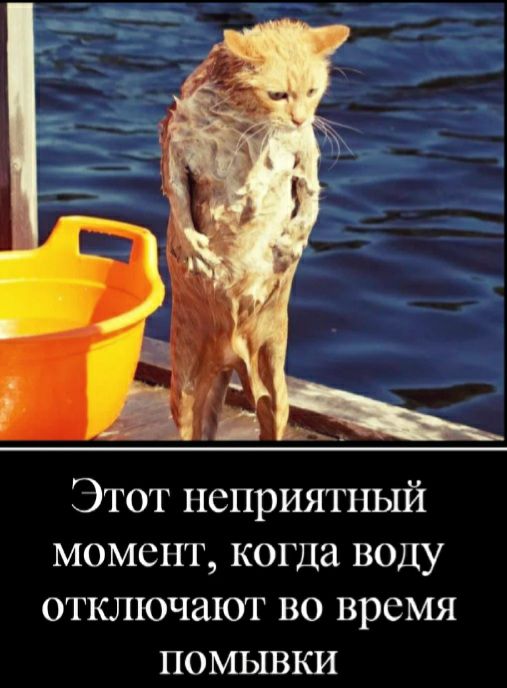 Этот неприятный момент когда воду отключают во время помывки