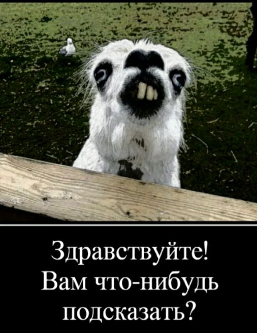 Здравствуйте Вам что нибудь подсказать