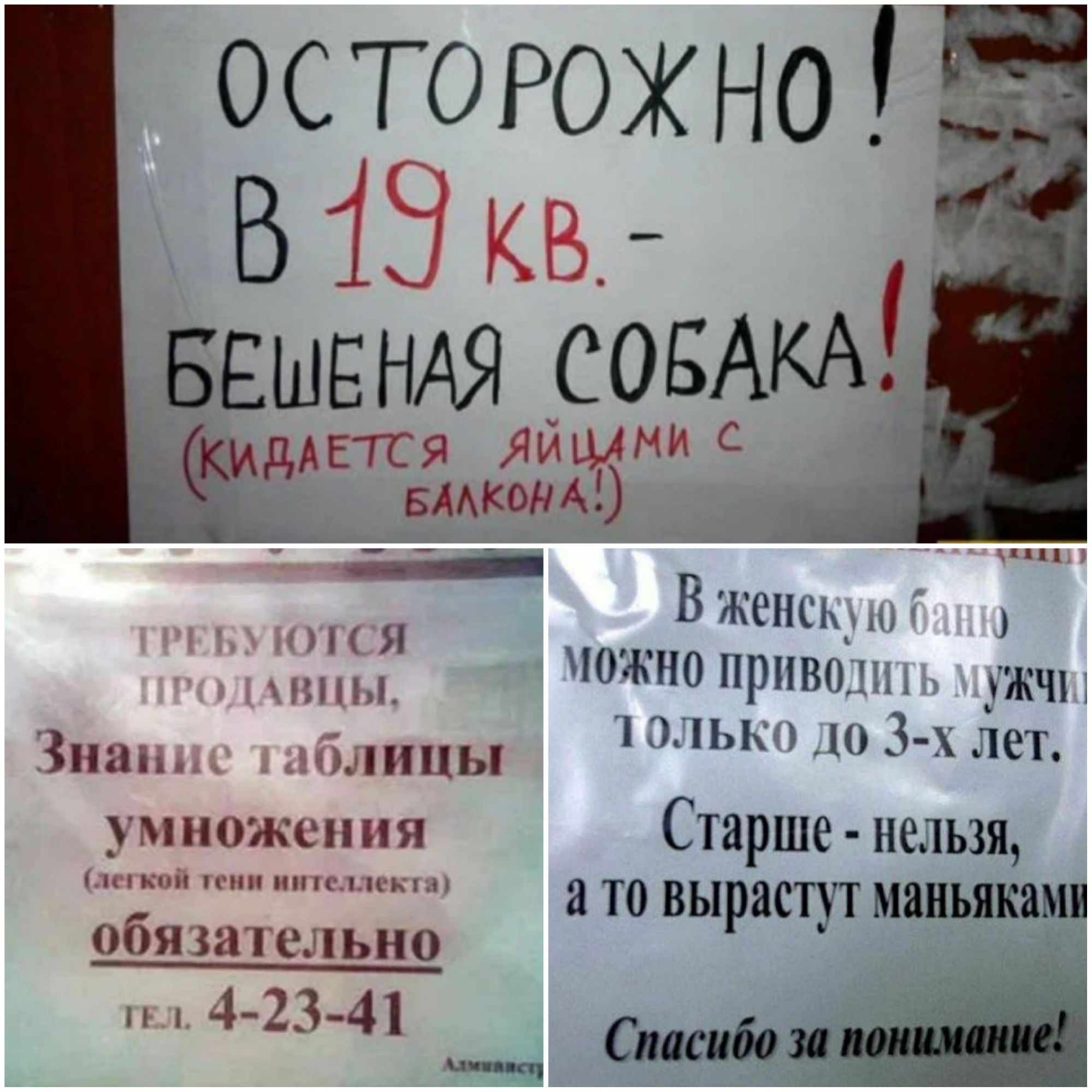 ввшвндя СОБАКА ЕТСЯ ЯЙЩНИ Идд БААКОНА __ В женщ п Я Ц южно приват жчъ Знап цы к ш 3 чет у множен ия Старше нельзя кои иии тыстонн ТО ВЬРЯСТУТ маньяками обязат ельно 4 2341 А с _ чп