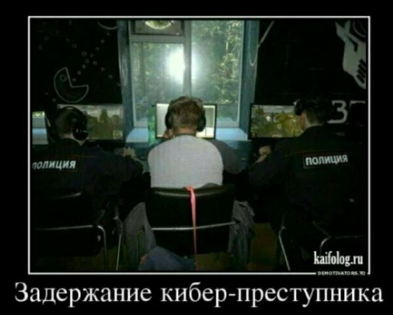1 А юлии Задержание кибер преступника