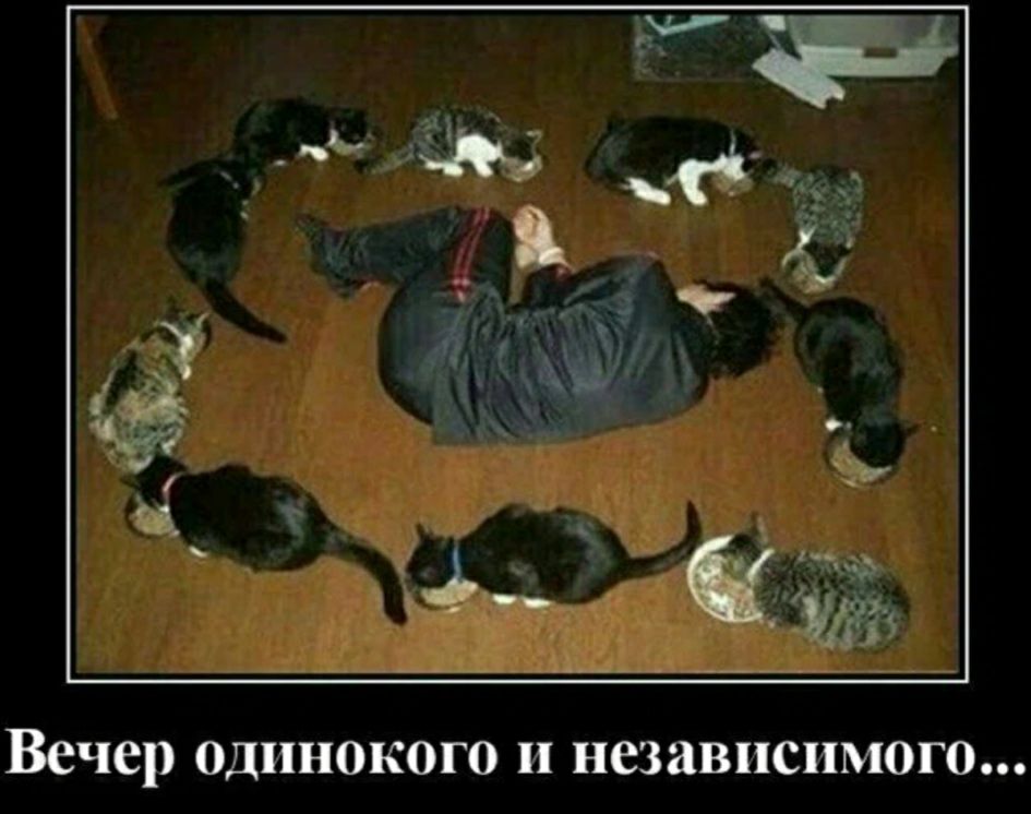 Вечер одинокого и независимого