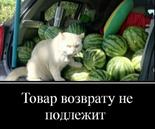 Товар возврату не пош1ежит