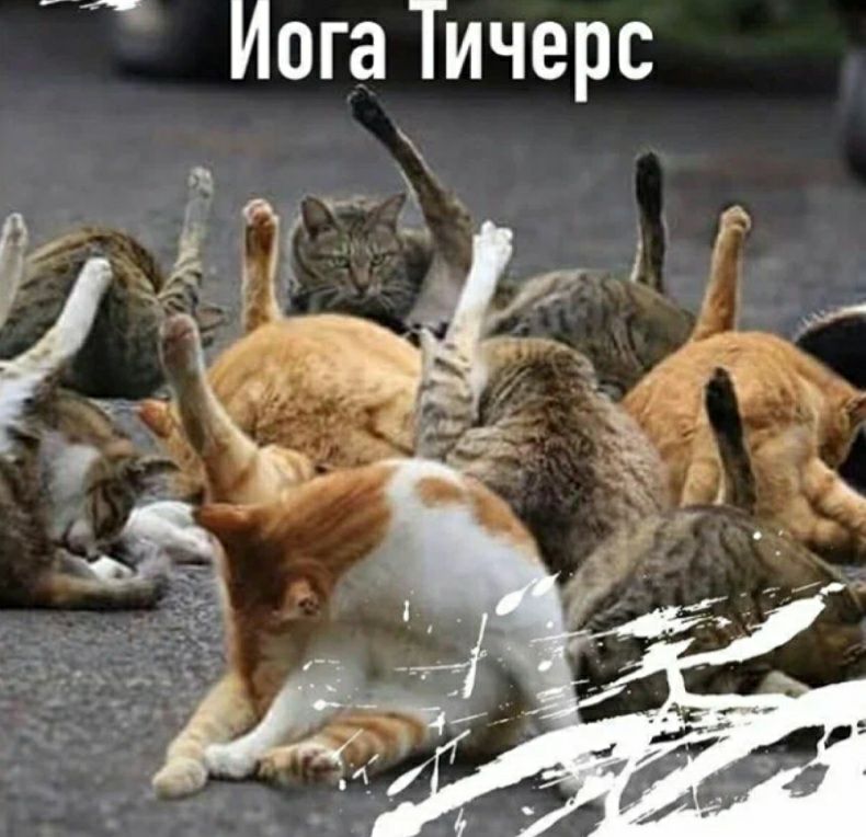 Иога Тичерс