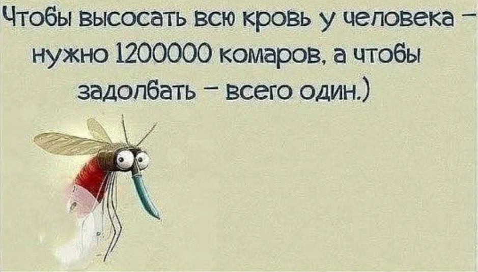 Чтобы высосать всю крозь у человека нужно 1200000 комаров а чтобы задолбать всего один