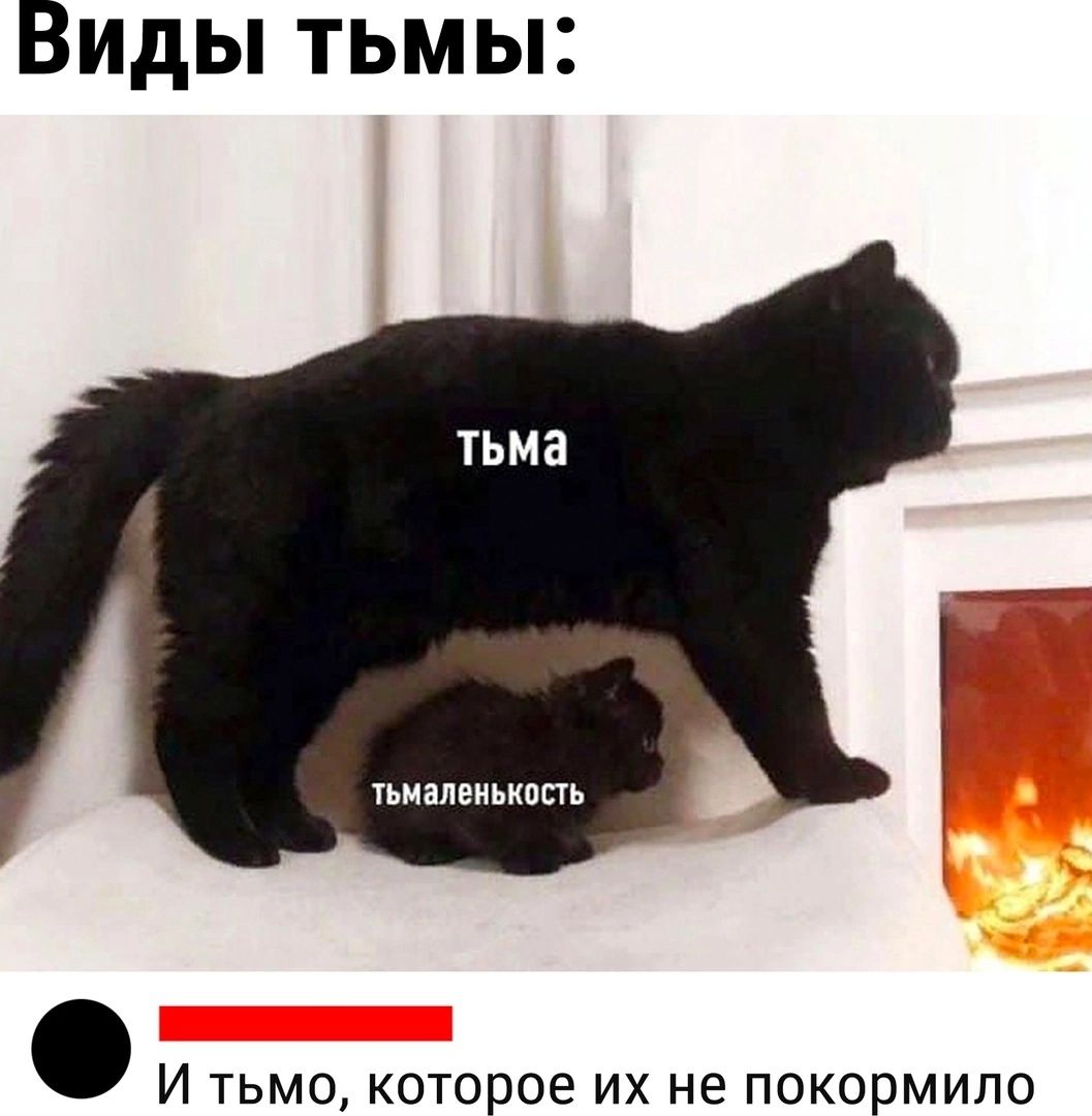 Виды тьмь ииалвиьиппь И тьмо которое их не покормило