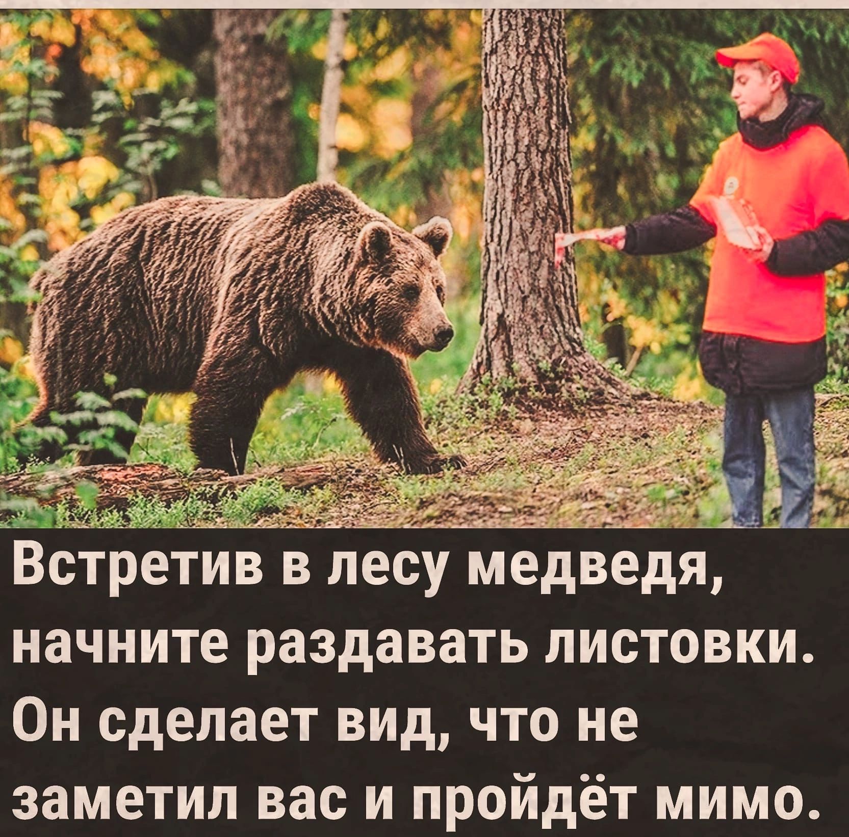 Бери медведя иди в шкаф