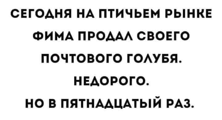 СЕГОАНЯ НА ПТИЧЬЕМ РЫНКЕ ФИМА ПРОААА СВОЕГО ПОЧТОВОГО ГОАУБЯ НЕДОРОГО По В ПЯТНААЦАТЫЙ РАЗ