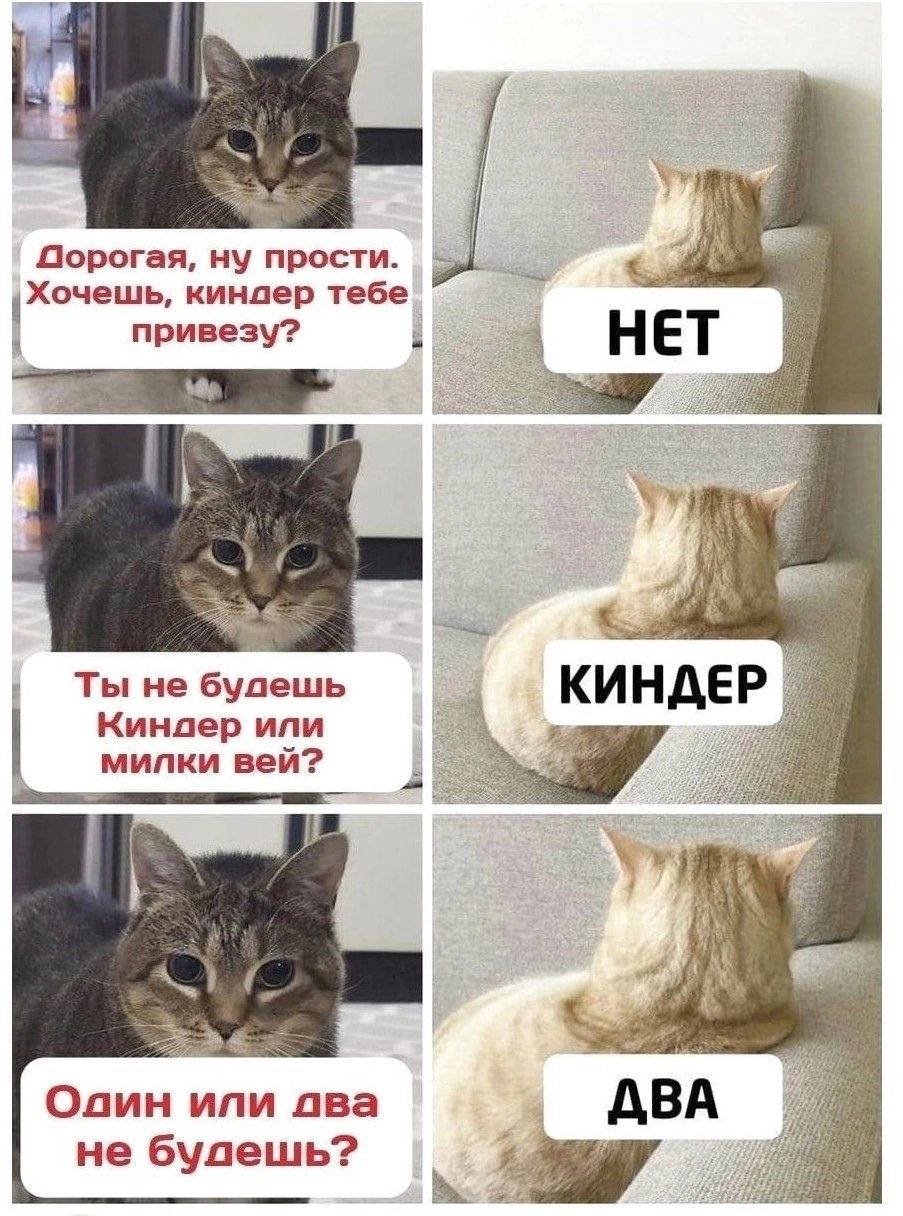 Дорогая ну прости Хочешь киндер тебе привезу _ зНЕТ Ша Ты не будешь Кинцер или МИПКИ Вей __ Олин или два не будешь