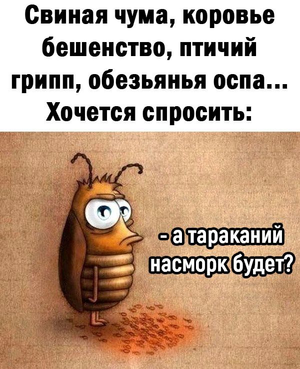 Свиная чума коровье бешенство птичий грипп обезьяньи оспа Хочется спросить оа