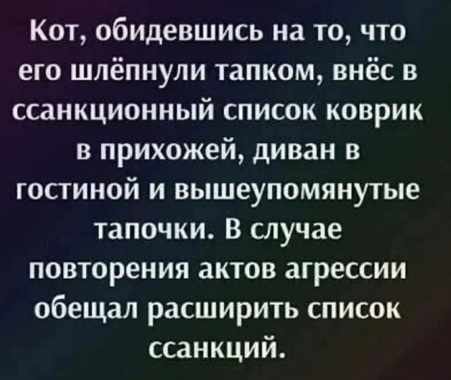 Кот обидевшись на то что его шлёпнули тапком внёс в ссанкционный список коврик в прихожей диван в гостиной и вышеупомянутые тапочки В случае повторения актов агрессии обещал расширить список ссанкций