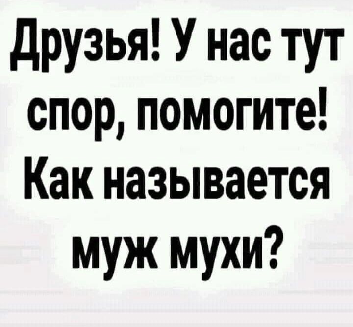 друзья У нас тут спор помогите Как называется муж мухи