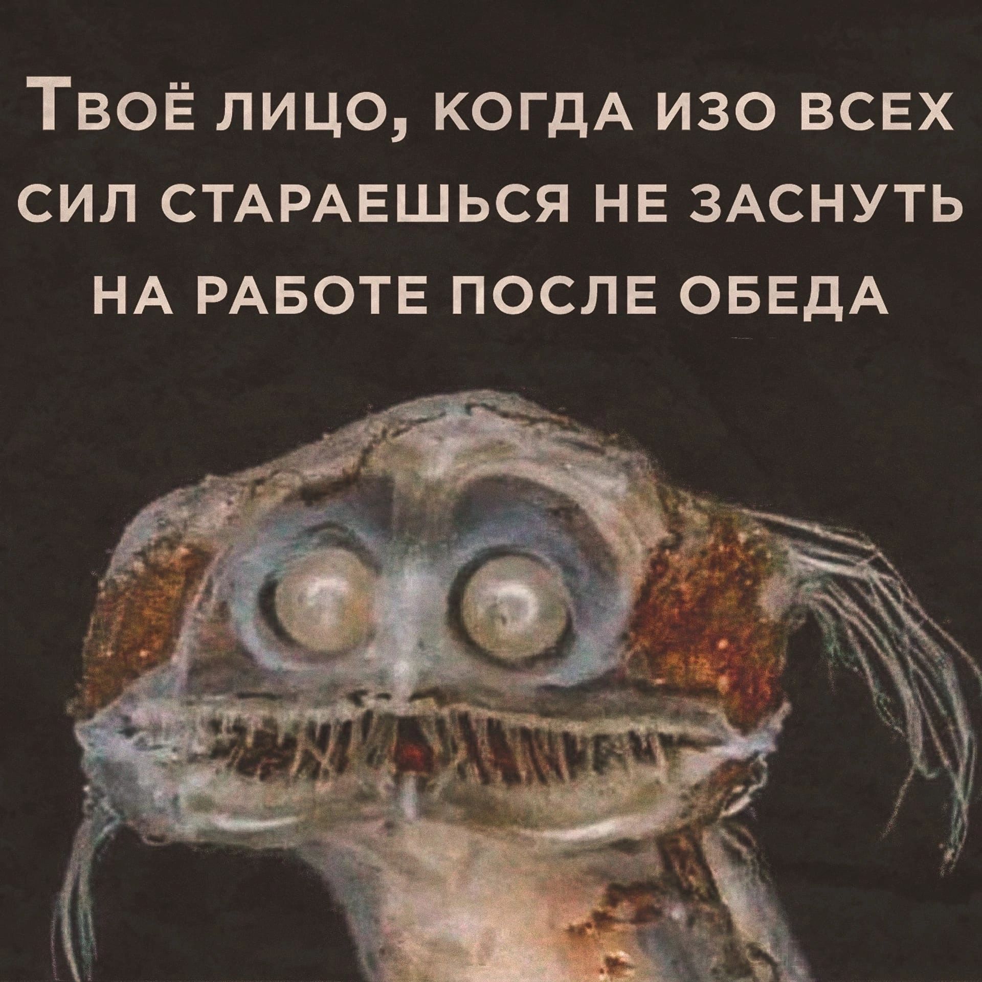 ТВОЁ ЛИЦО КОГДА ИЗО ВСЕХ СИЛ СТАРАЕШЬСЯ НЕ ЗАСНУТЬ НА РАБОТЕ ПОСЛЕ ОБЕдА