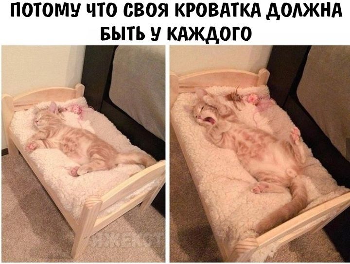 ПОТОМУ ЧТО СВОЯ КРОВАТКА АОАЖНА БЫТЬ КАЖДОГО А