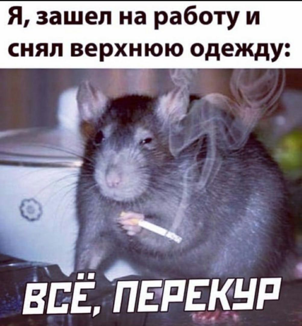 Я зашел на работу и снял верхнюю одежду а ЕЕЁ ПЕРЕКНР