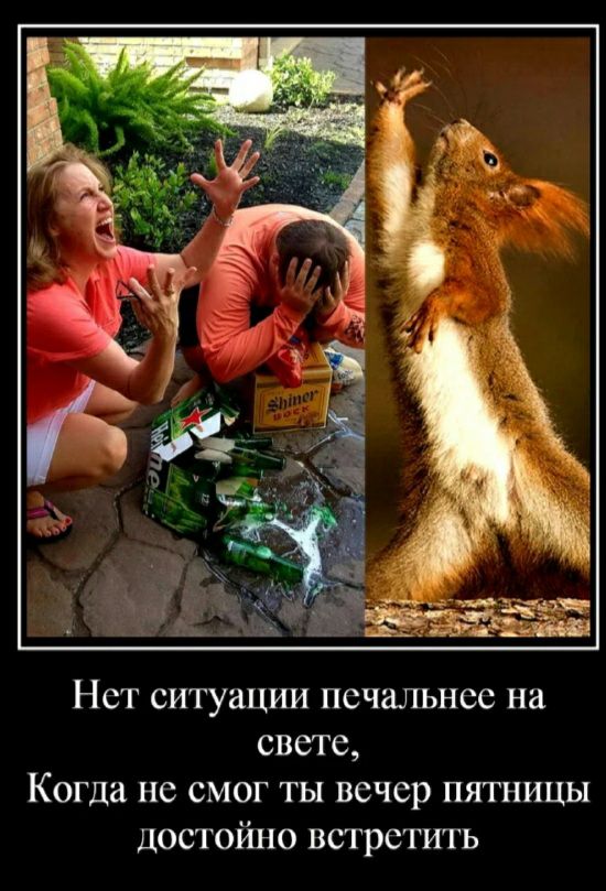 Нст ситуации печальное на свете Когда не смог ты вечер пятницы достойно встретить