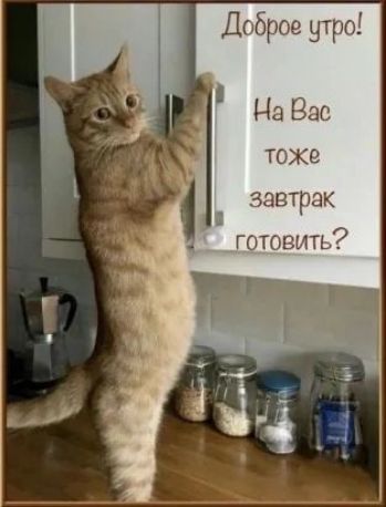 Доброе утро На 830 ТОЖЕ завтрак о Готовить