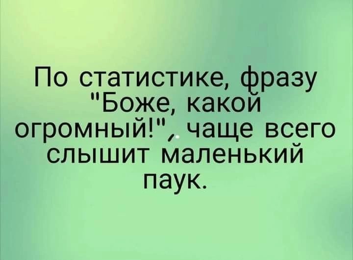 По статистике фразу Боже какои огромный чаще всего слышит маленький паук