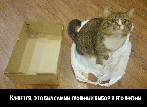 МТС 0 БШ ЦМШ ЕГО ШЗ
