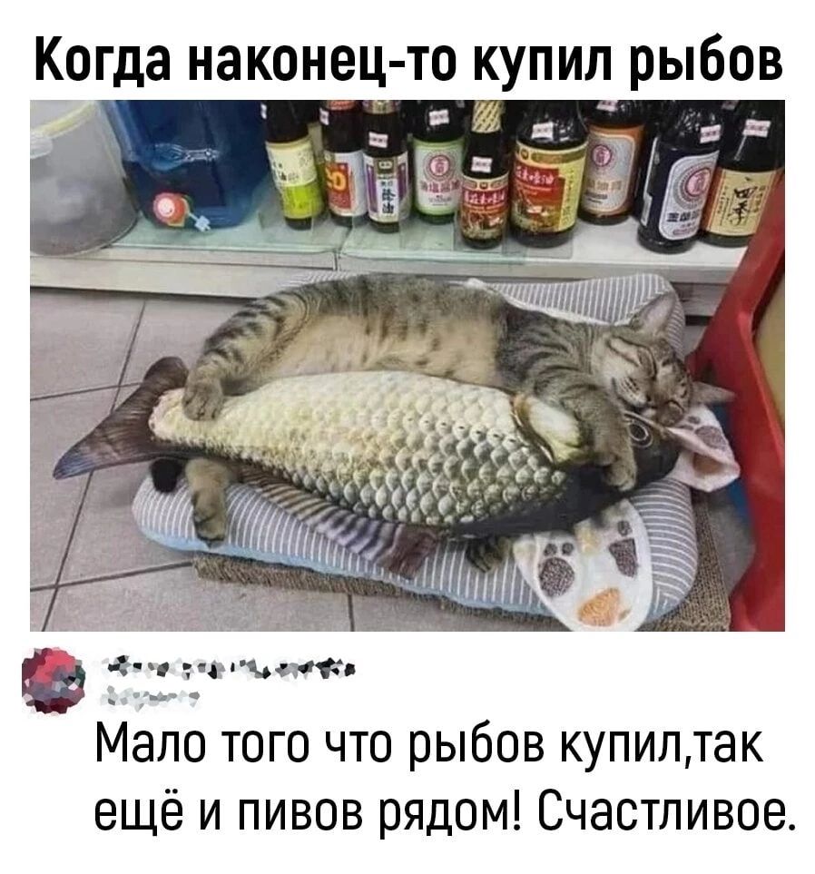 Когда наконец то КУПИЛ рыбов Мало того что рыбов купил так ещё и пивов рядом Счастливое