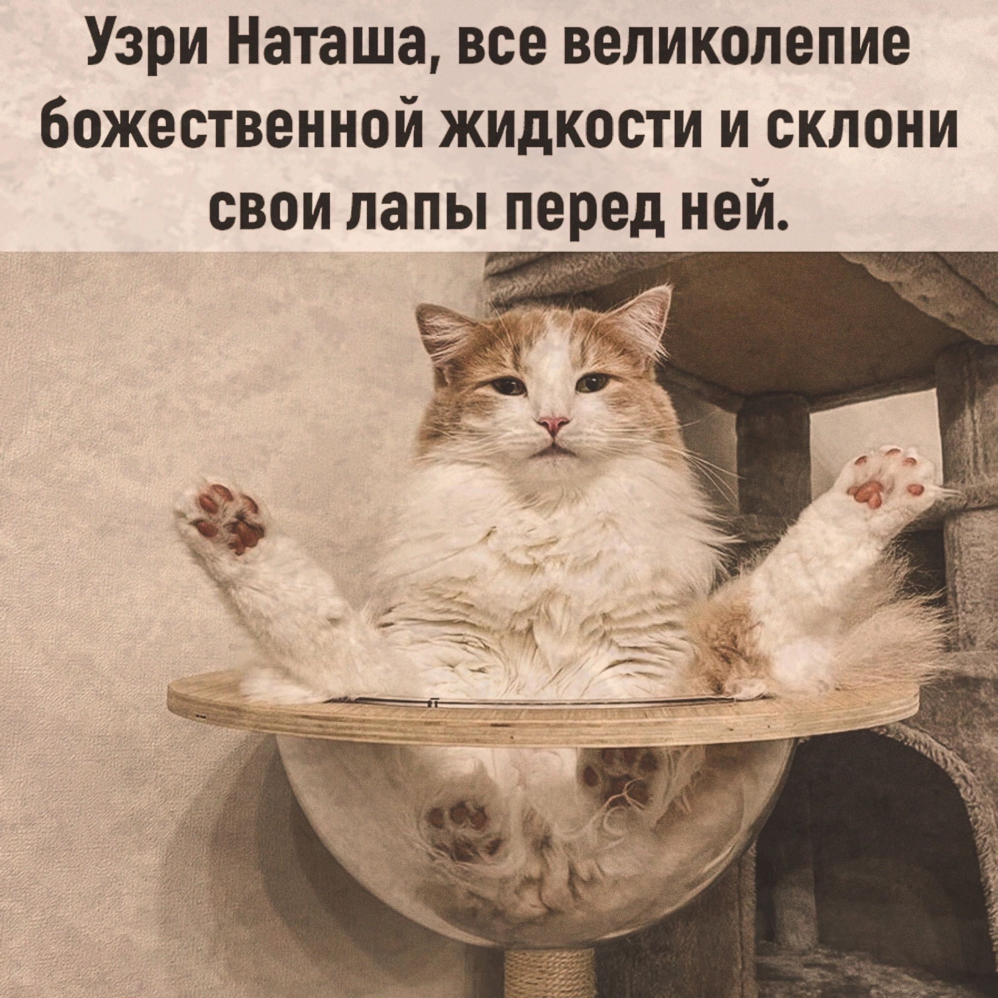Узри Наташа все великолепие божественной жидкости и скпони свои папы перед ней
