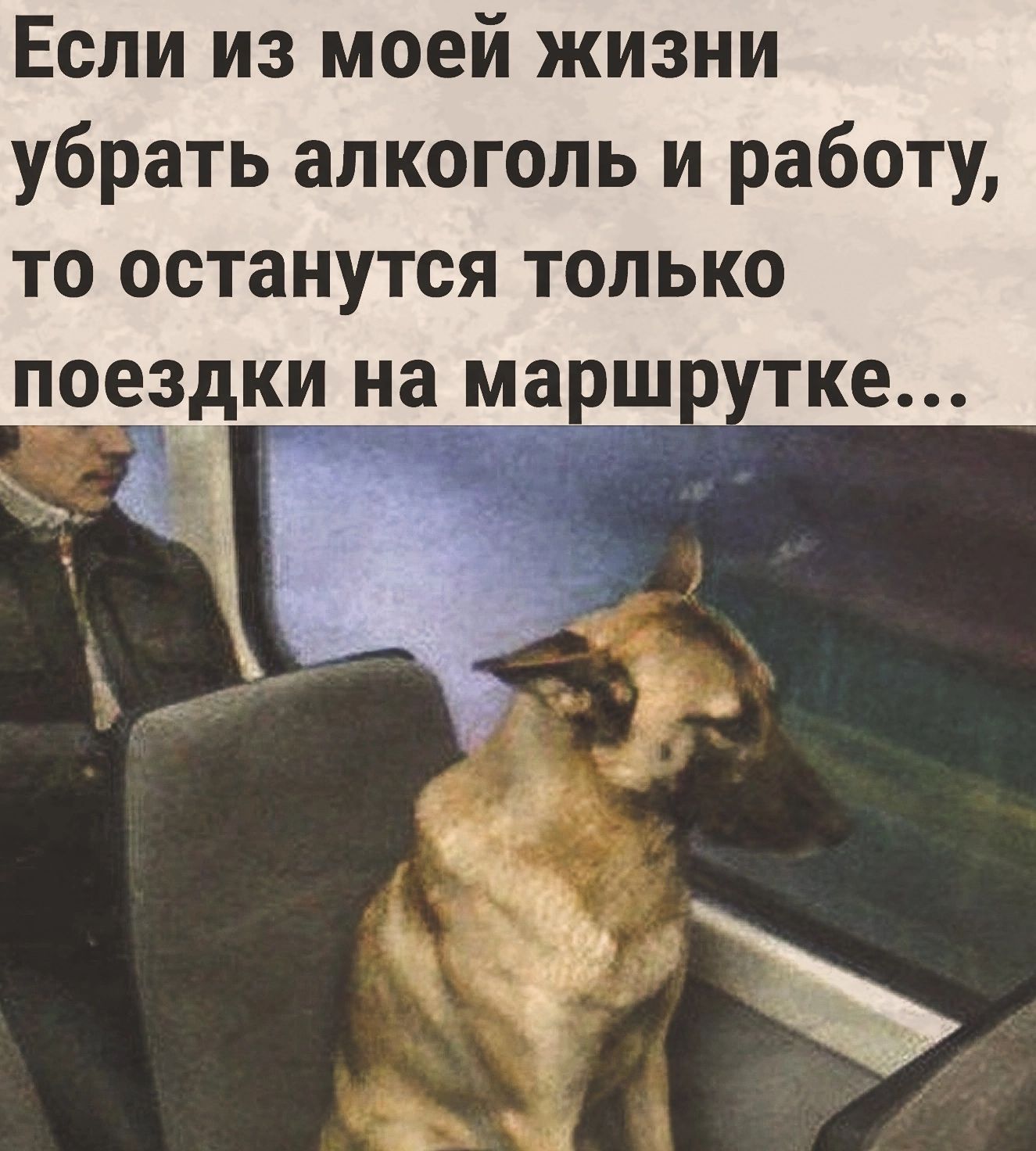 Если из моей жизни убрать алкоголь и работу то останутся только поездки на марш Х