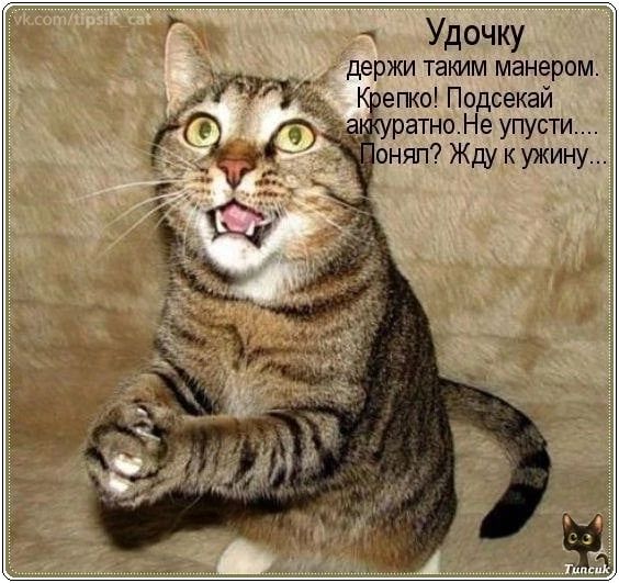 Удочку держи тапім манером епко Подсекай это Не упусти оняп Жду ужину