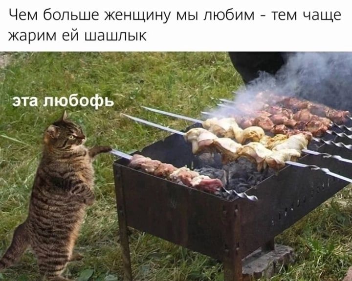 Чем больше женщину мы ПЮбИМ тем чаще жарим ей шашлык