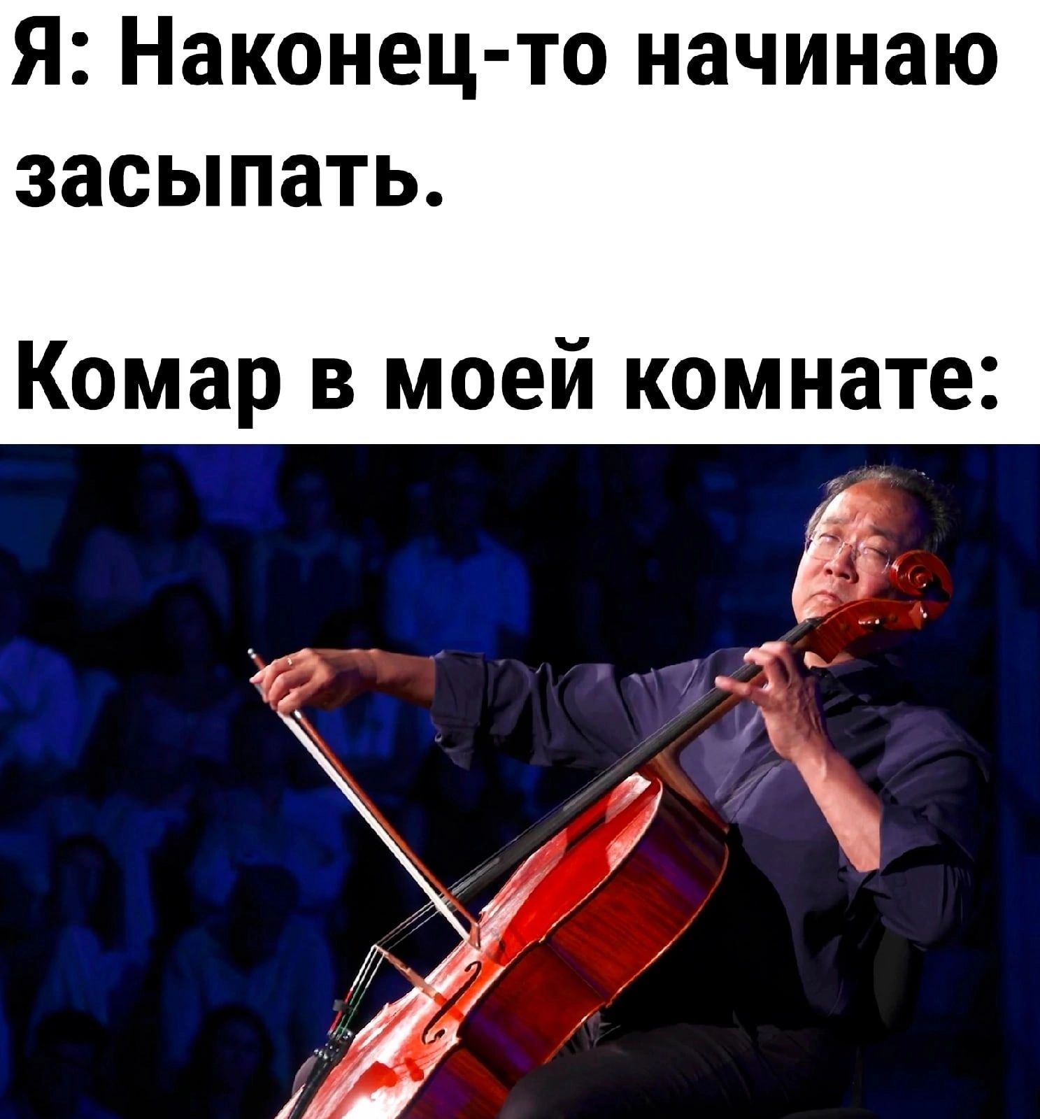 Я Наконец то начинаю засыпать Комар в моей комнате